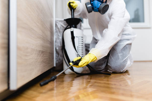 Best Affordable Pest Control Services  in Winnsboro, TX