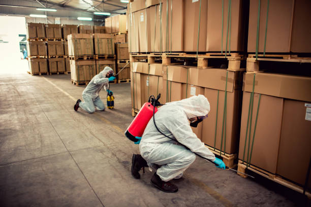 Best Mosquito Control Services  in Winnsboro, TX