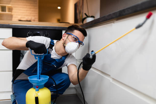 Best Emergency Pest Control  in Winnsboro, TX