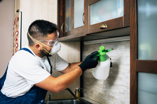 Best Pest Removal Services  in Winnsboro, TX