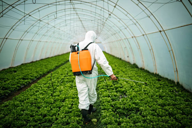 Professional Pest Control in Winnsboro, TX