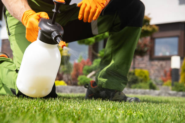 Bird Control in Winnsboro, TX