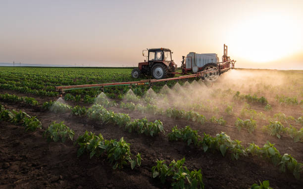 Best Wildlife Control Services  in Winnsboro, TX