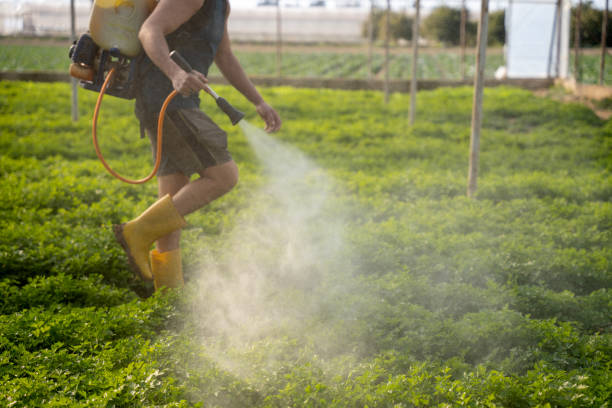 Pest Control Cost in Winnsboro, TX