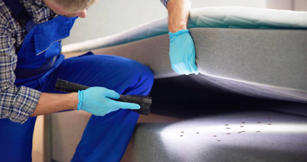 Flea Control Services in Winnsboro, TX