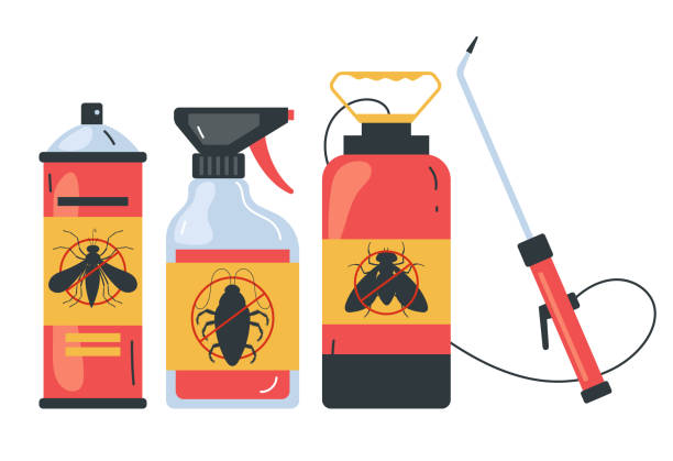 Best Exterminator Services  in Winnsboro, TX
