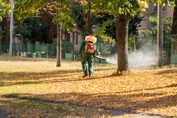 Best Emergency Pest Control  in Winnsboro, TX