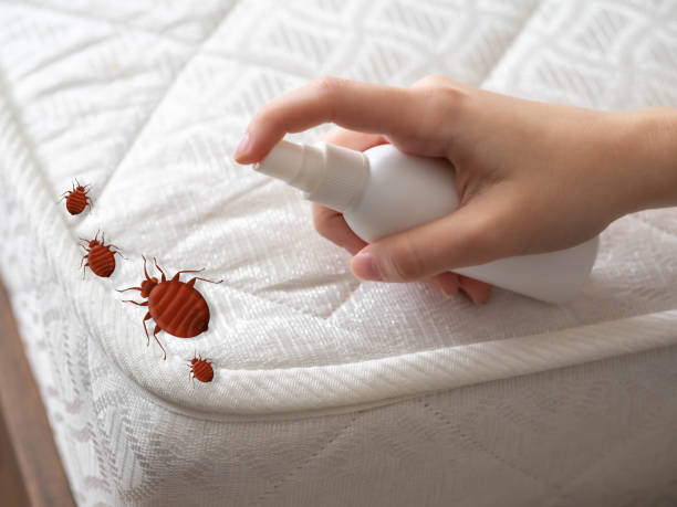Best Commercial Pest Control Services  in Winnsboro, TX